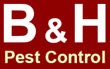 B and H Pest Control