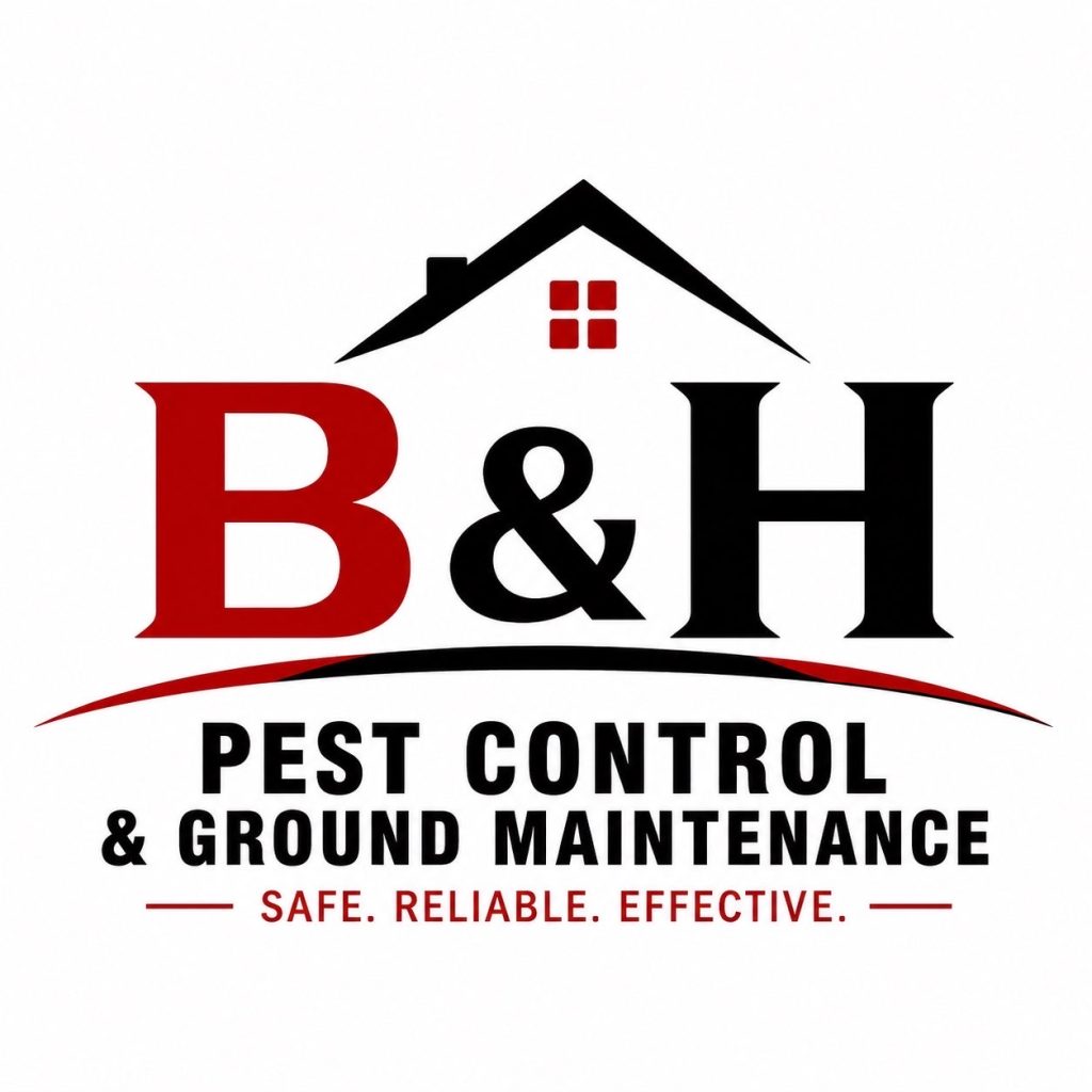 B and H Pest Control